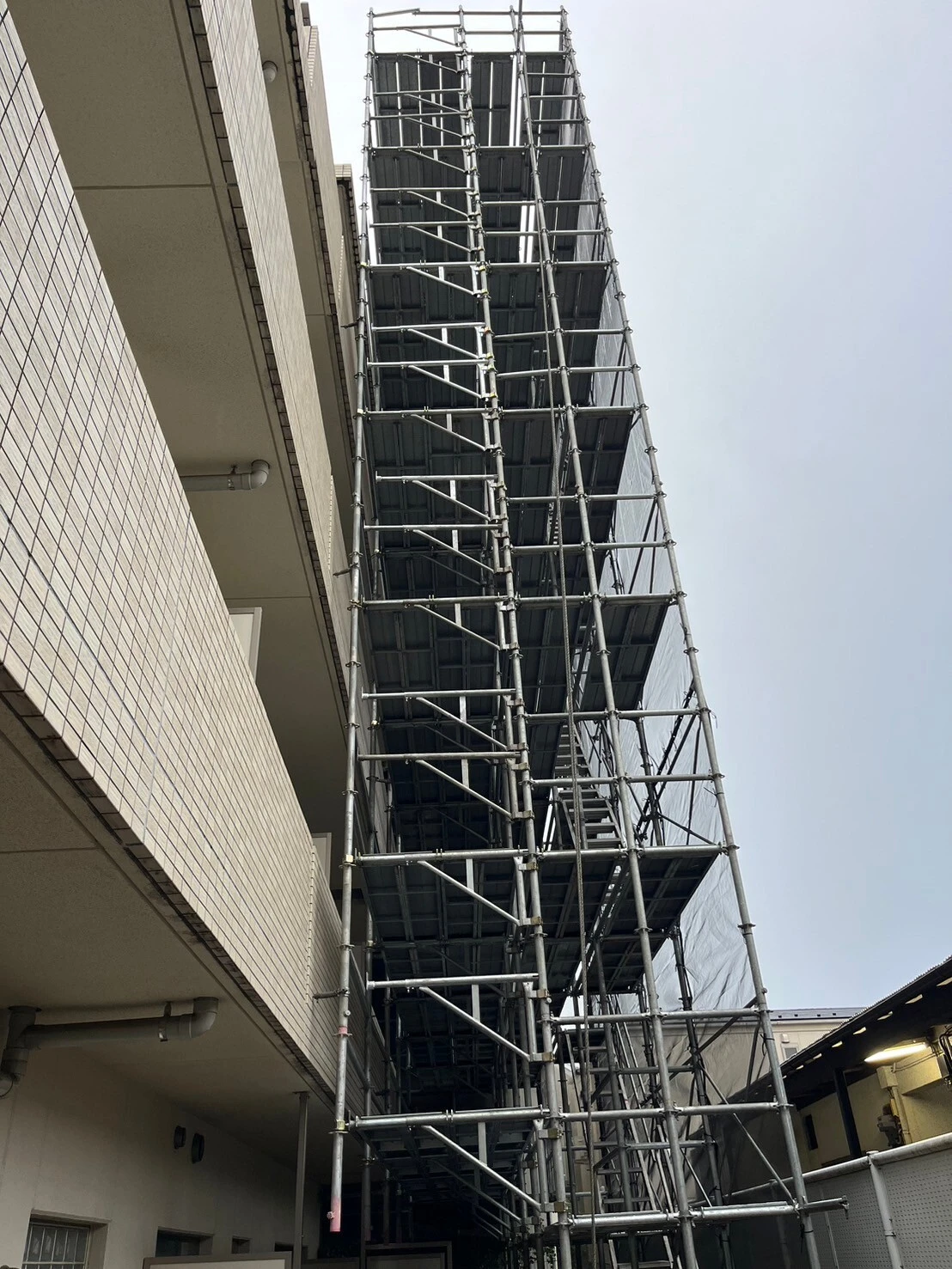今すぐお問い合わせを