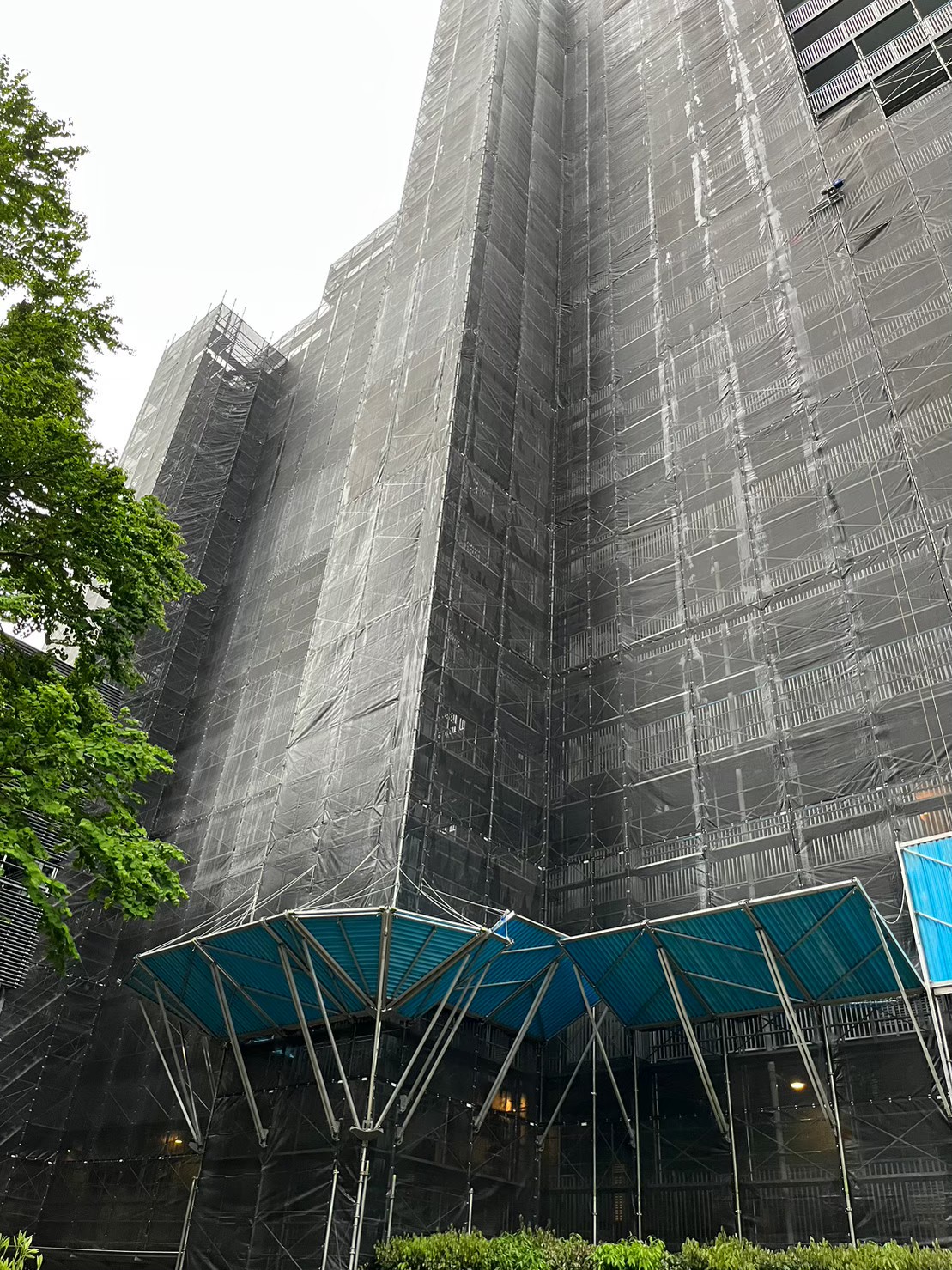 東京で職人として踏み出すなら、まずは気軽にご相談ください