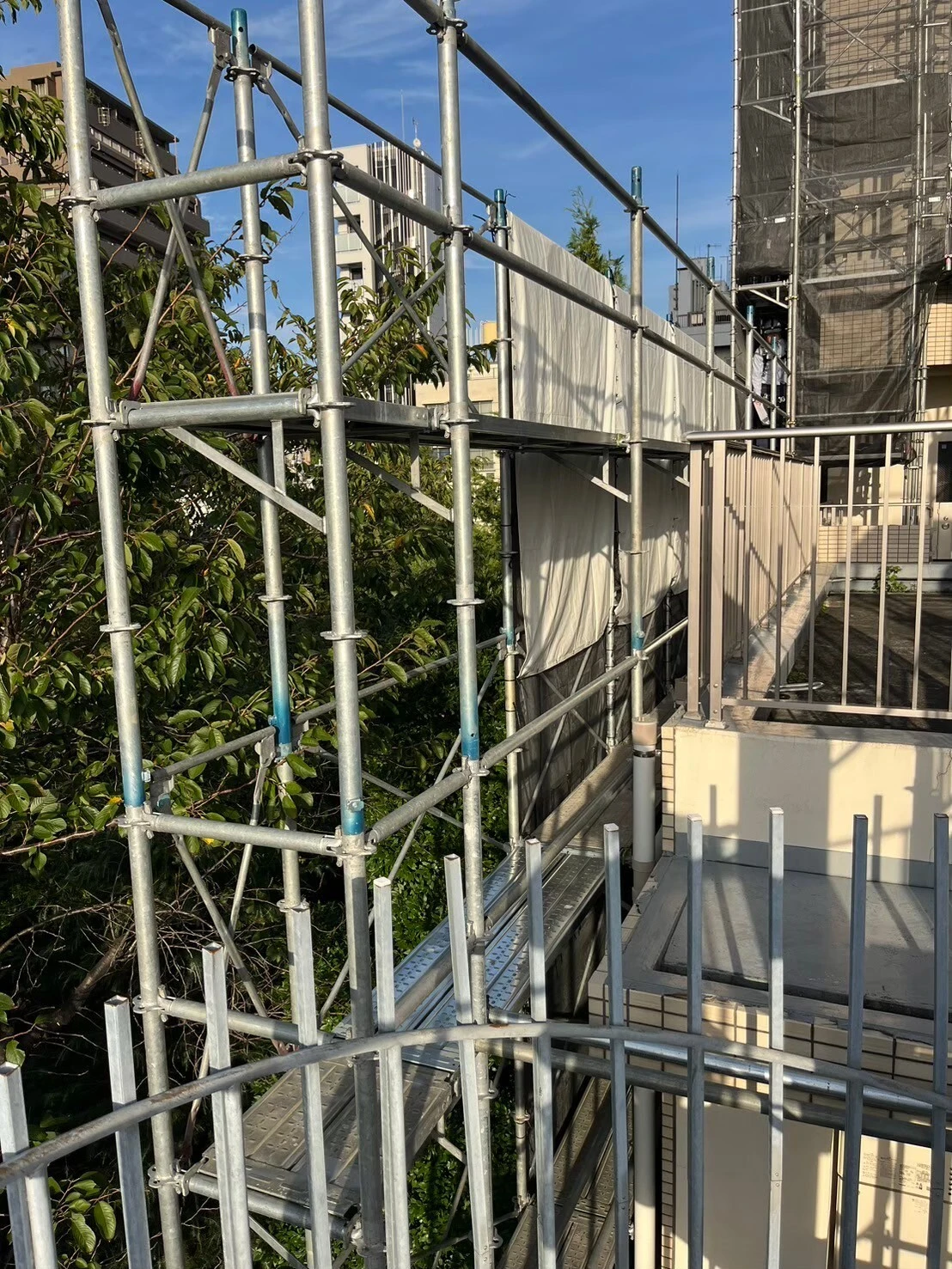 今すぐ応募を！